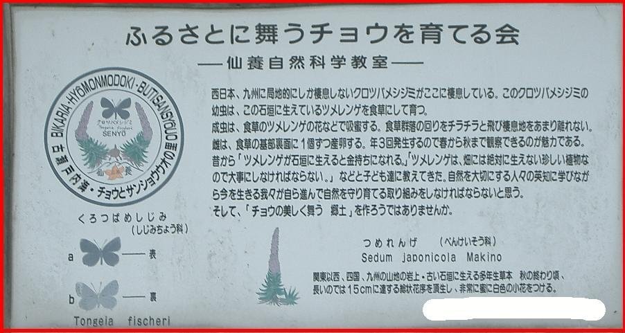 jn166-ap.JPG